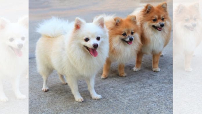 Representational image