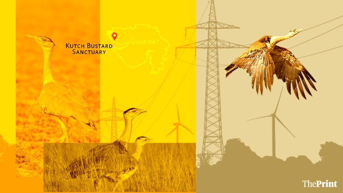Featured image by Shruti Naithani | ThePrint