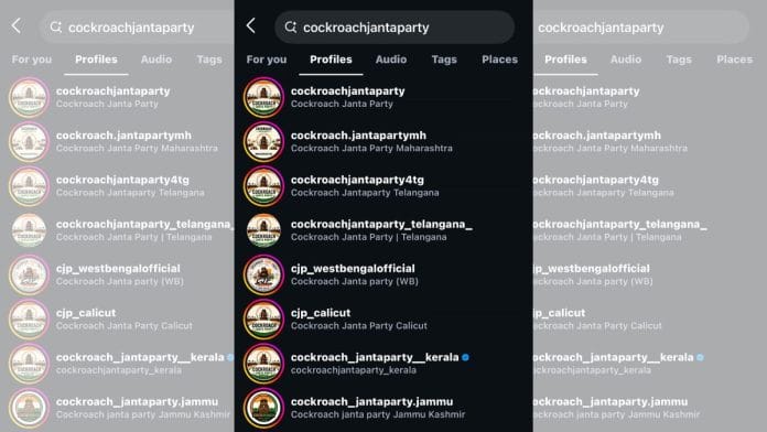 An Instagram search shows the multiple offshoots that have been created. | Instagram