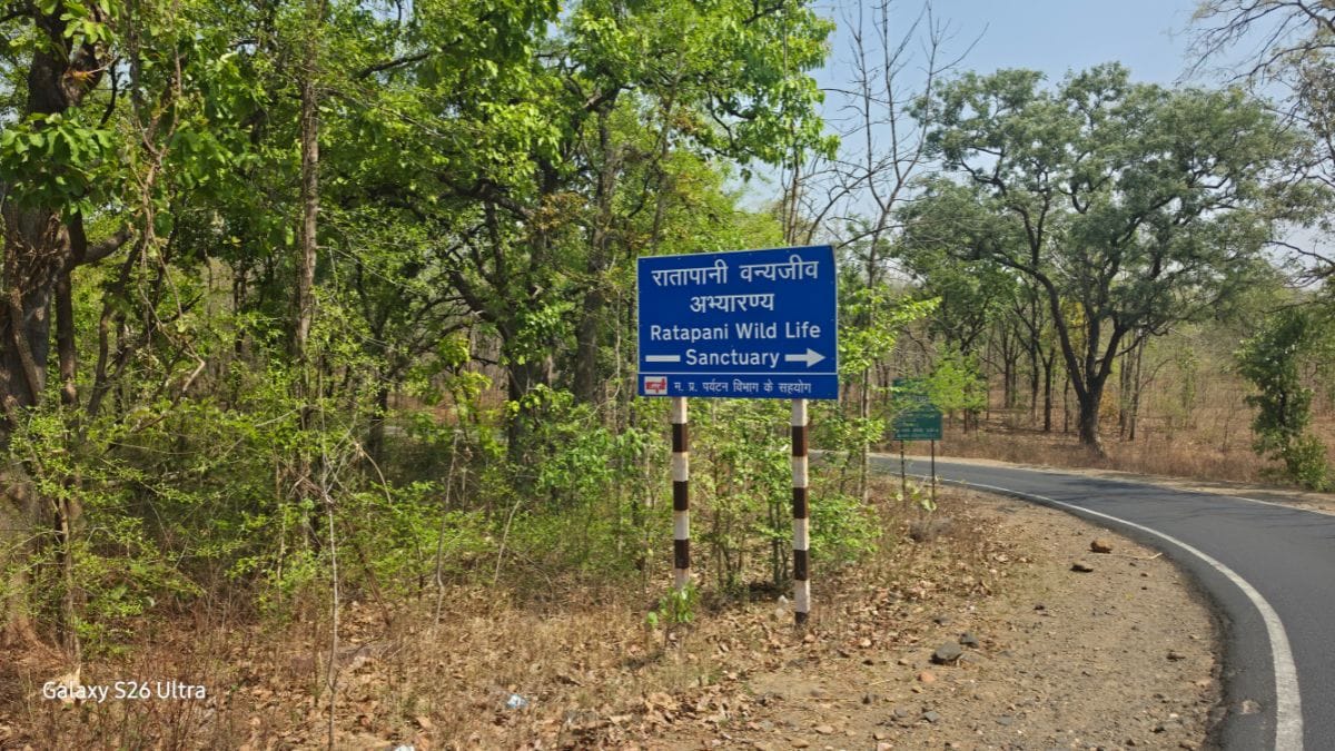The road leading to Ratapani Wildlife Sanctuary, a sprawling 825-sq-km protected area in Madhya Pradesh's Raisen and Sehore districts | Photo: Soumya Pillai | ThePrint