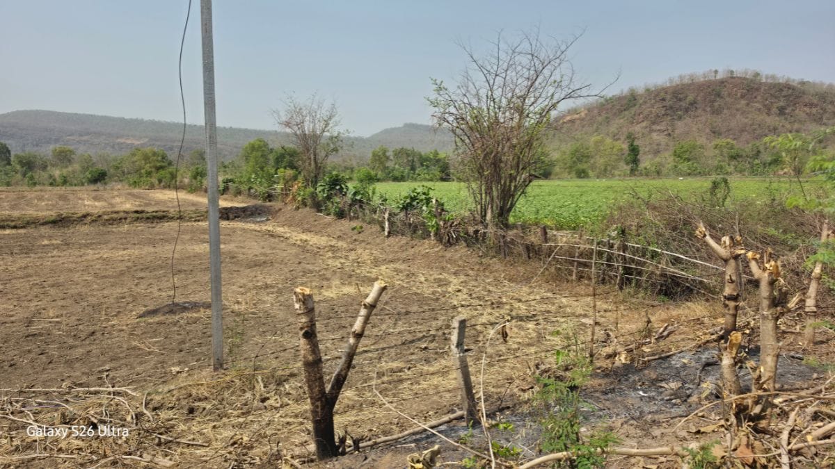 In many tiger death cases, farmers living around tiger reserves were found harming tigers to protect their crops and workers | Photo: Soumya Pillai | ThePrint