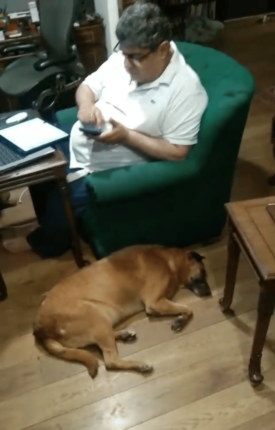 Kaddu at her new home, she has been adopted by Senior Advocate Percival Billimoria | Photo courtesy: Percival Billimoria
