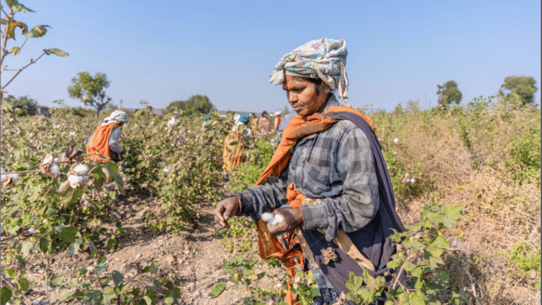 4 ways India, Pakistan can protect women from extreme heat risk
