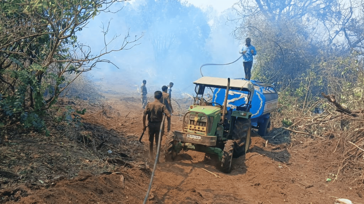 Forest officials clear land patches to prevent the spread of fire | By special arrangement