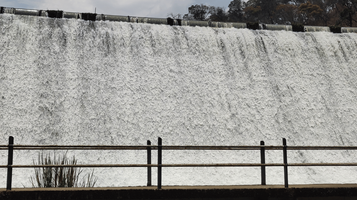 Water was used from Pykara dam to douse the blaze in the nearby areas | Shweta Tripathi | ThePrint