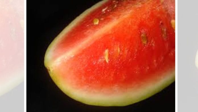 Two teenagers and their parents had died in Mumbai after sharing a watermelon | Commons