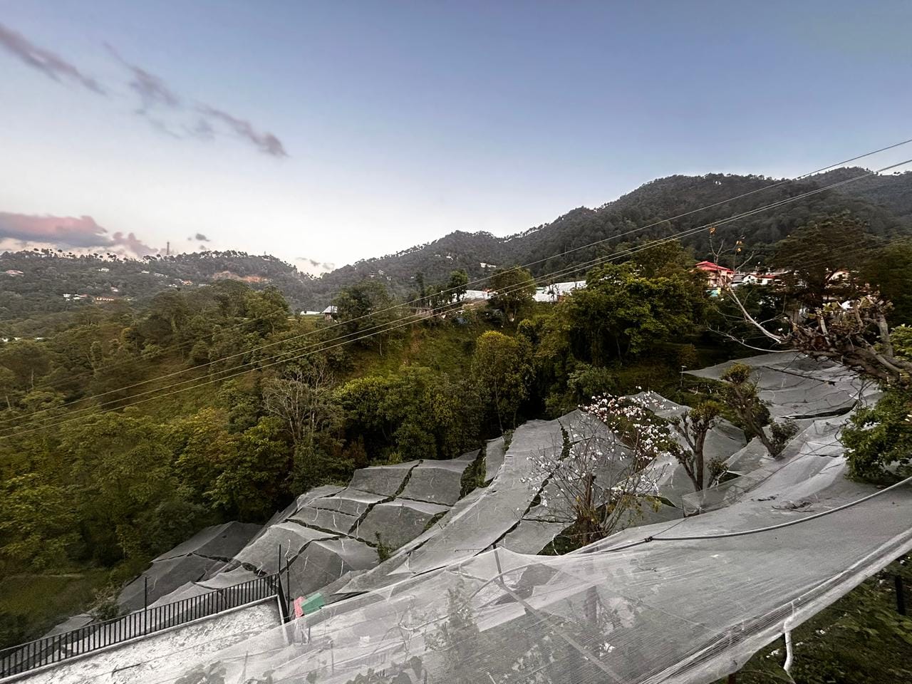 Net-covered orchards across Himachal hills adapting to changing weather patterns