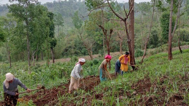 In Assam’s ‘Wakanda’, a company is bringing women farmers to the supply chain