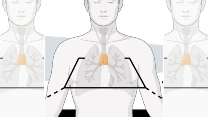 Image sourced from the study titled 'Thymic health consequences in adults', published in Nature
