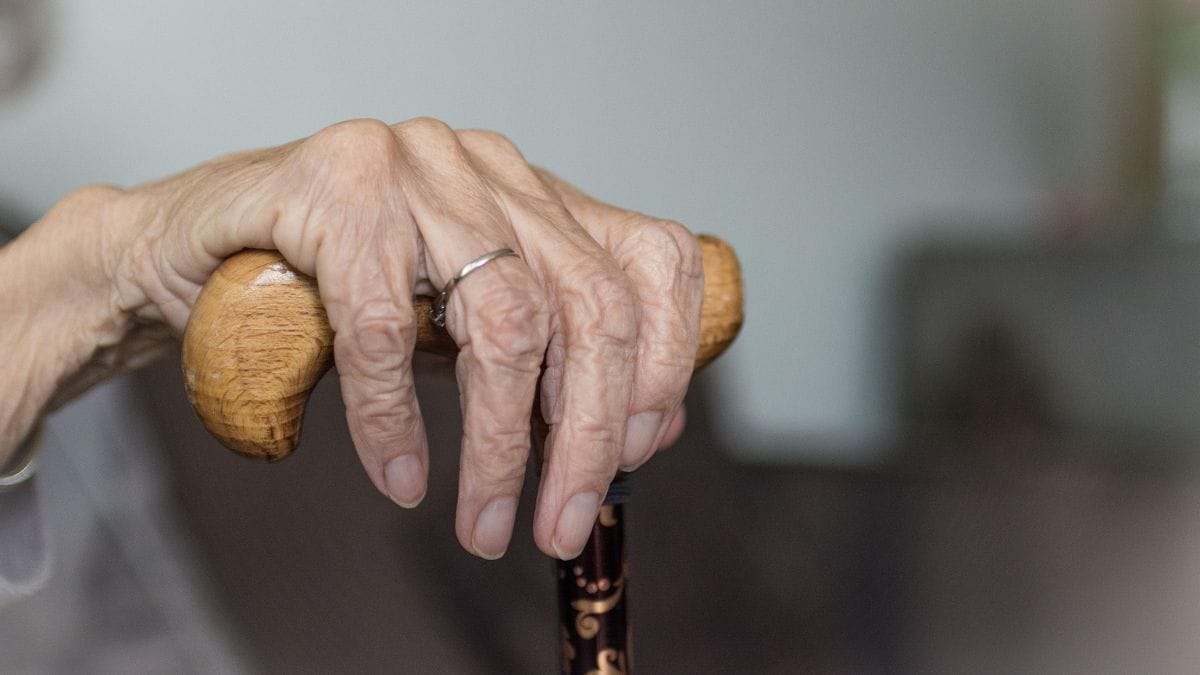 Senior Citizens Act cannot be used as weapon in a marital feud, says Punjab and Haryana High Court