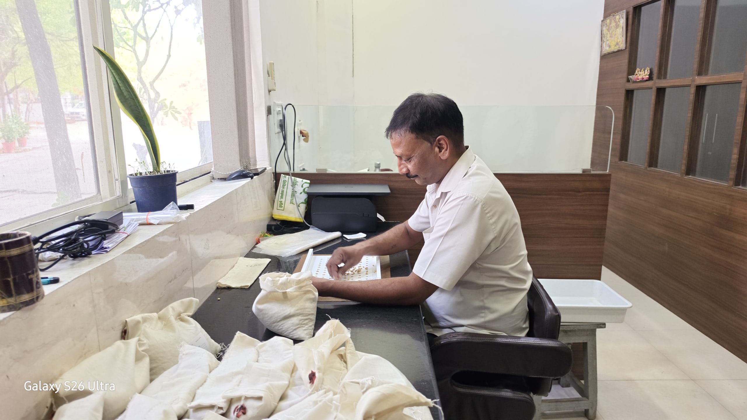 Soybean seeds being tested in SOPA | Soumya Pillai, ThePrint