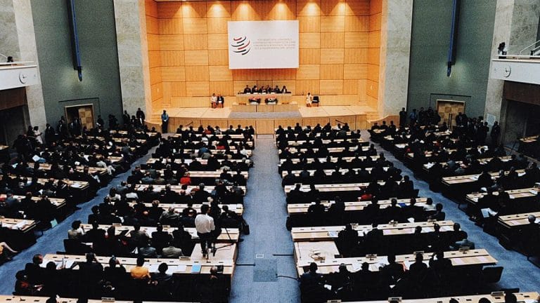 India must stop watching and start reshaping the WTO’s future. Its interests are at stake