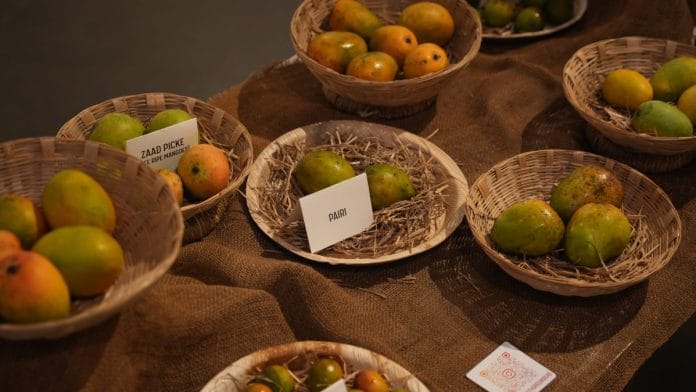 From 'Mangoes and Meanings', a multimedia exhibition exploring India’s most iconic fruit | Photo: Museum of Goa