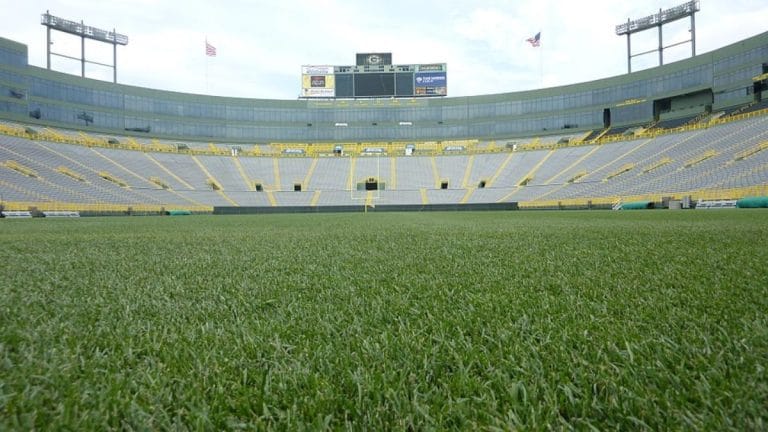 It took 7 years to engineer stadium grass for the FIFA World Cup