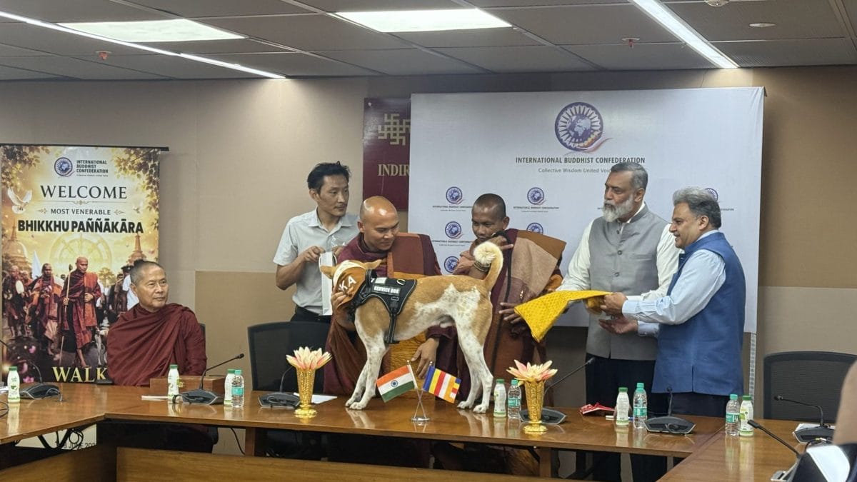 A stray dog followed Buddhist monks in India two years ago. He’s now a global peace mascot