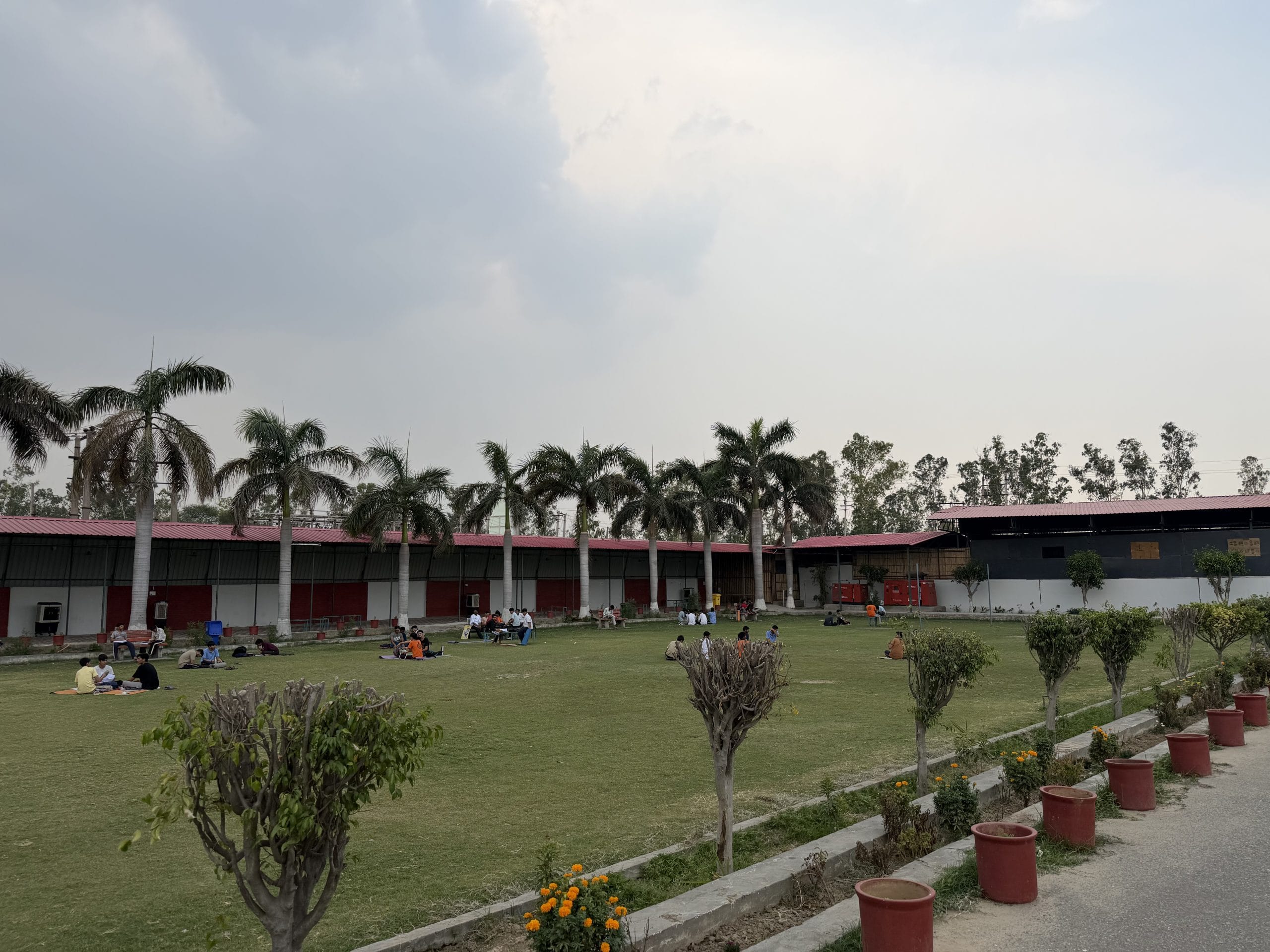 Palm trees line the ground on campus. | Nootan Sharma | ThePrint