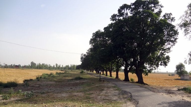 SubscriberWrites: The Fate of Punjab: A Land That Sacrificed for India but Continues to Bear the Burden