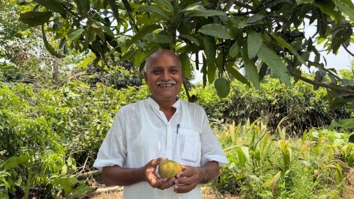 Ram Kishore Singh with the fruit of his labour | Nootan Sharma, ThePrint