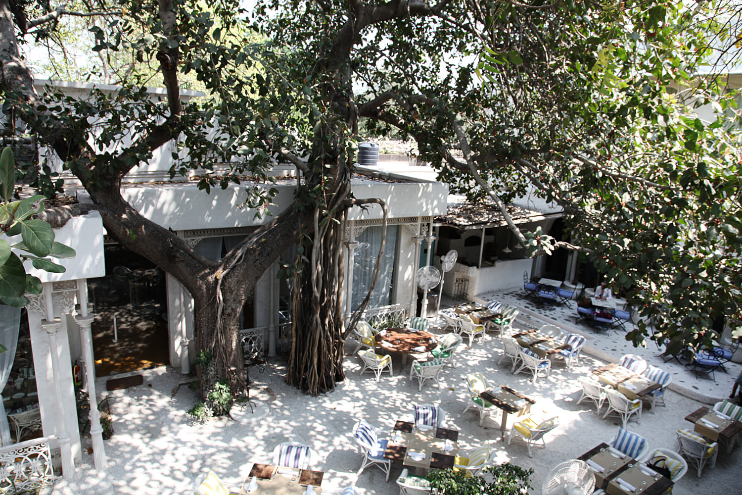 The courtyard where it all began for Olive | By special arrangement