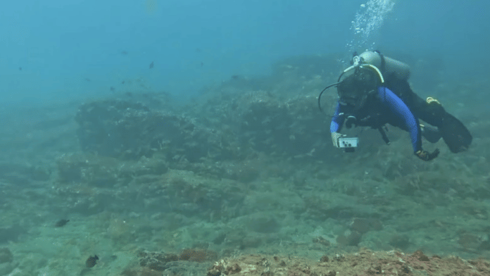 Underwater documentation by Friends of Marine Life and Scuba Cochin | Credit: FML