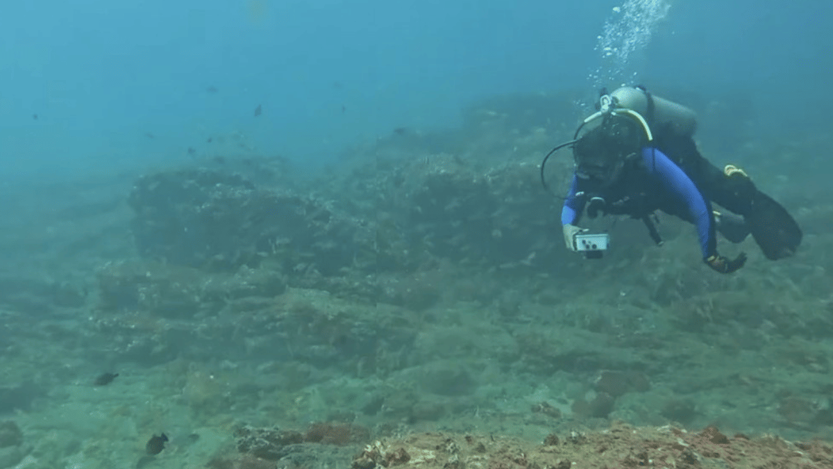 How Kerala researcher, fisherfolk built a marine biodiversity database after being left out of records