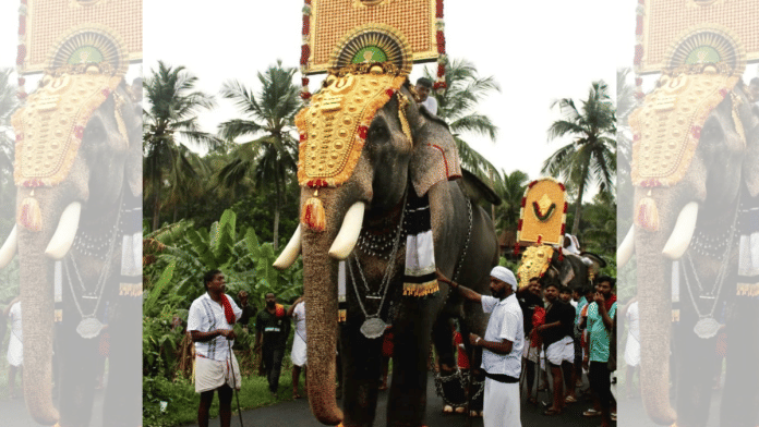 Elephant Raman decked up for a temple festival in Palakkad district of Kerala. | Photo: Hareesh Poomarathil, Facebook/Techikottukavu Ramachandran