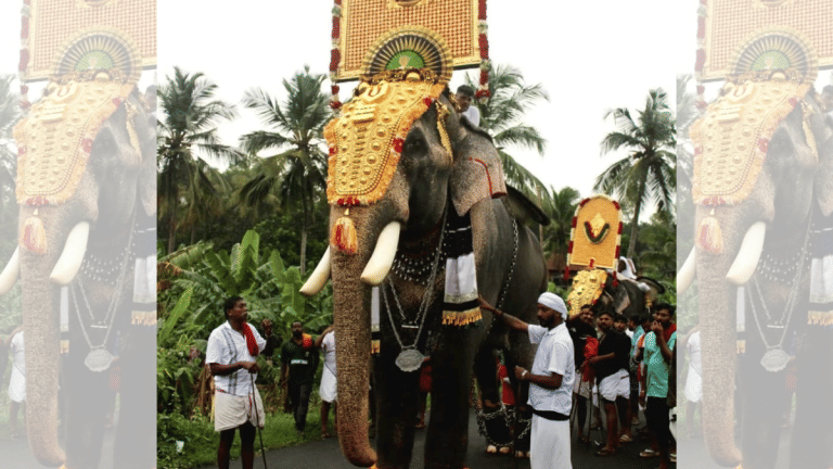 Kerala’s tallest elephant, now in Supreme Court. How a ‘property’ dispute became an animal welfare case