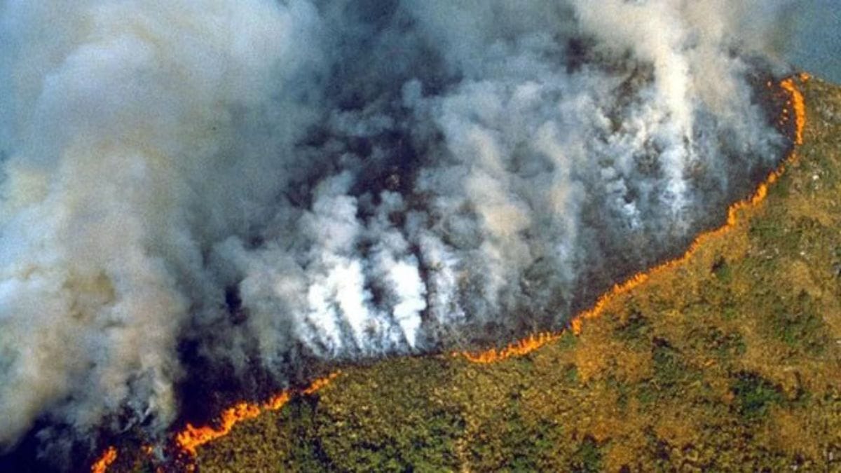 2025 wildfires were the costliest natural disasters in world history. LA, UK to Canada
