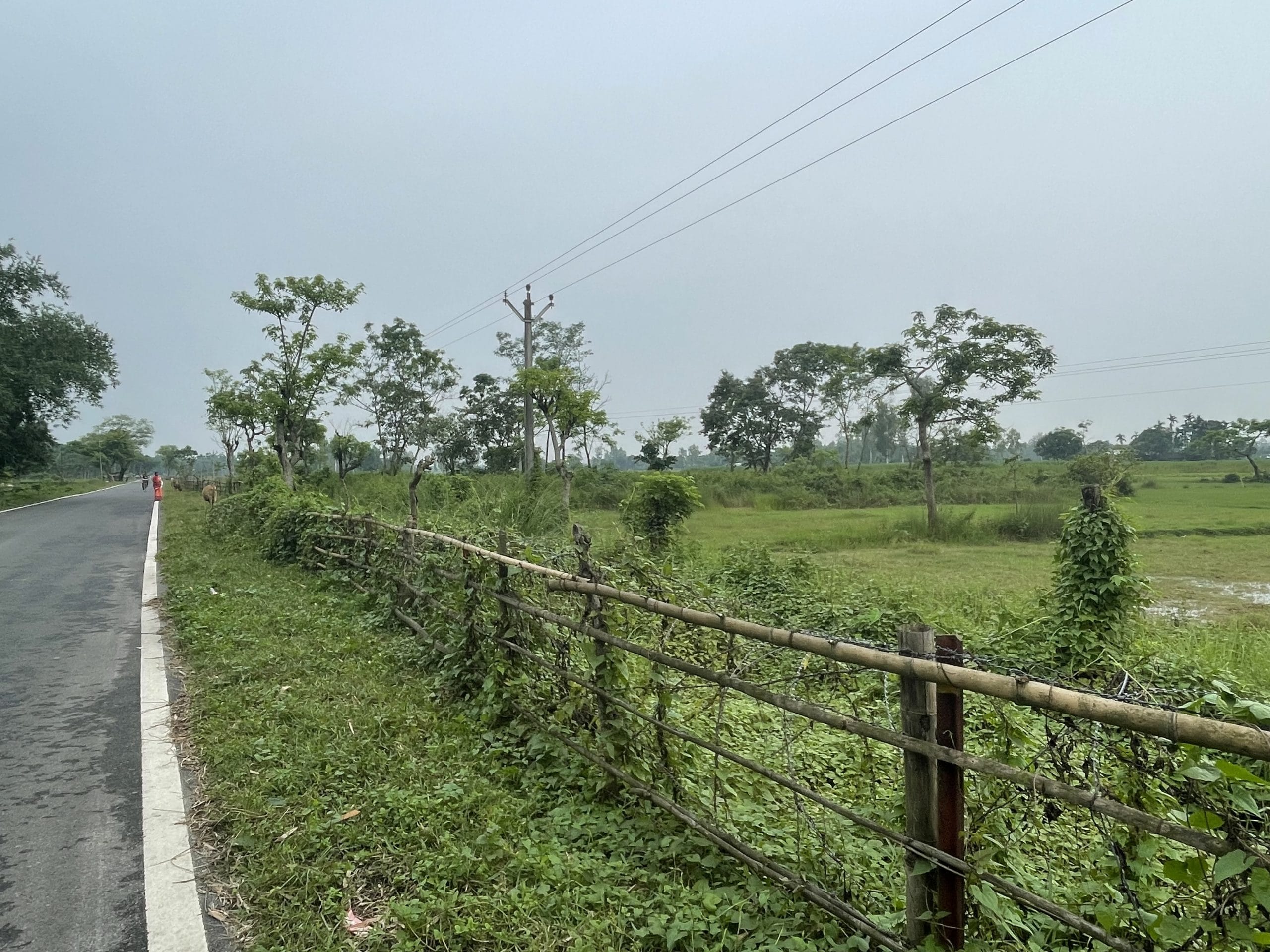 उत्तर बंगाल के मेखलीगंज क्षेत्र में फेंसिंग; सड़क भारत में है जबकि खेत बांग्लादेश के दहाग्राम-अंगरपोटा एन्क्लेव में हैं | फोटो: अलीशा दत्ता/दिप्रिंट