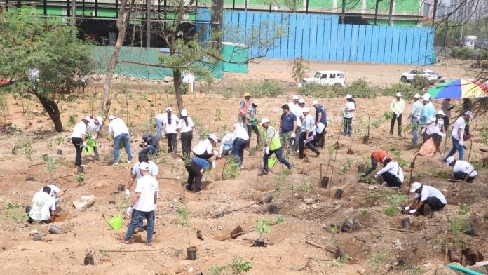 Saplings being planted at the Kanjurmarg Waste Processing Facility | By special arrangement