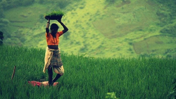 Representative image | Commons