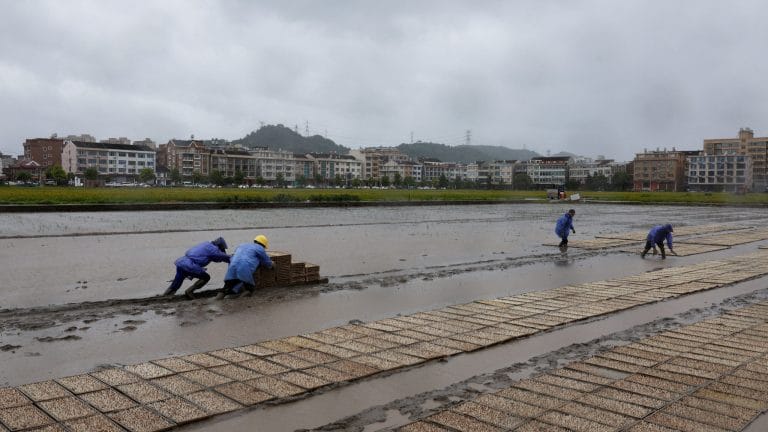 Typhoon Bavi nears China, triggers highest emergency alert in Zhejiang