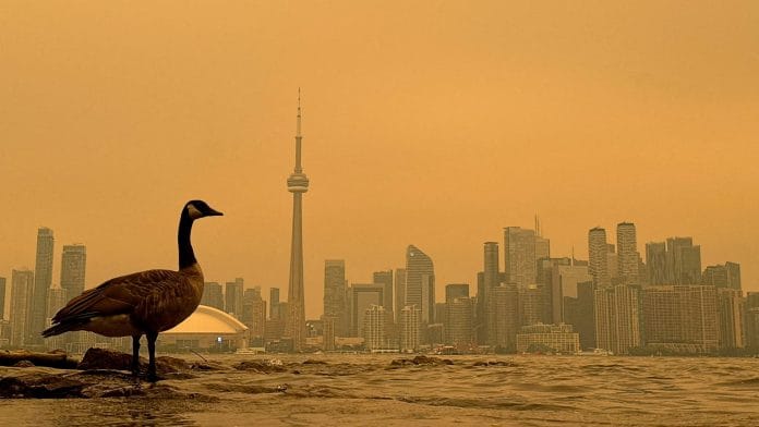 A Canada Goose stands on the shoreline of the Toronto Islands, on Lake Ontario, as the downtown skyline is covered by wildfire smoke during a heat wave in Toronto, Ontario, Canada, 15 July | Reuters