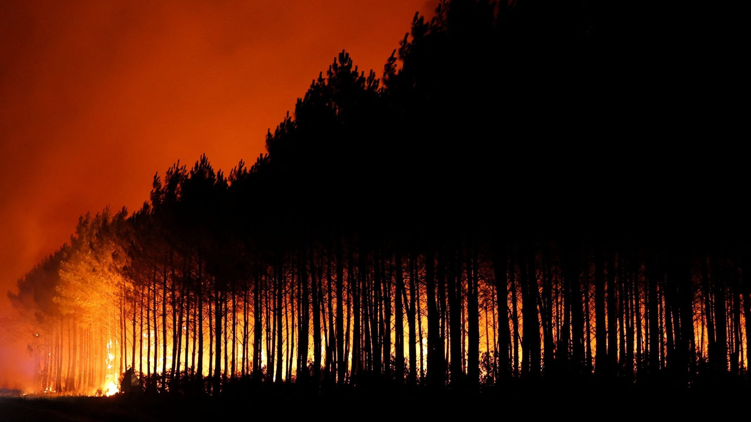 France evacuates 10,000 as wildfire engulfs 2,000 hectares near Bordeaux