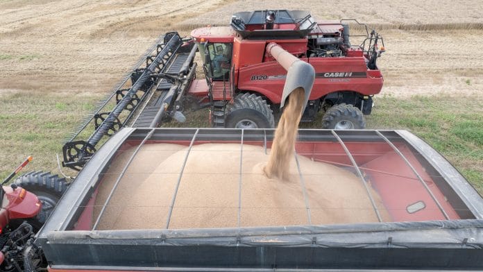 A farmer collects grain from a combine harvester during a wheat harvest on a farm in Drew, Mississippi, US, on Tuesday, June 2, 2026. Wheat prices fell to their lowest in more than a month due to lackluster demand and robust global supplies. | Bloomberg