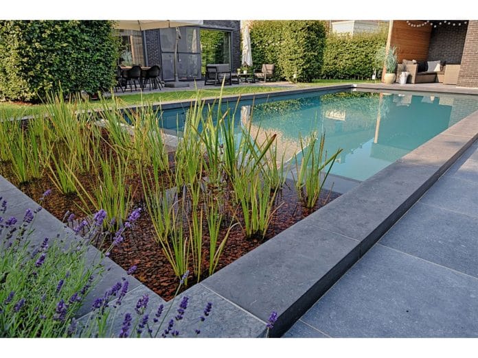EcoScapes Landscaping Collaborates with Fluidra India to Source Premium Bio Swimming Pool Systems and Materials