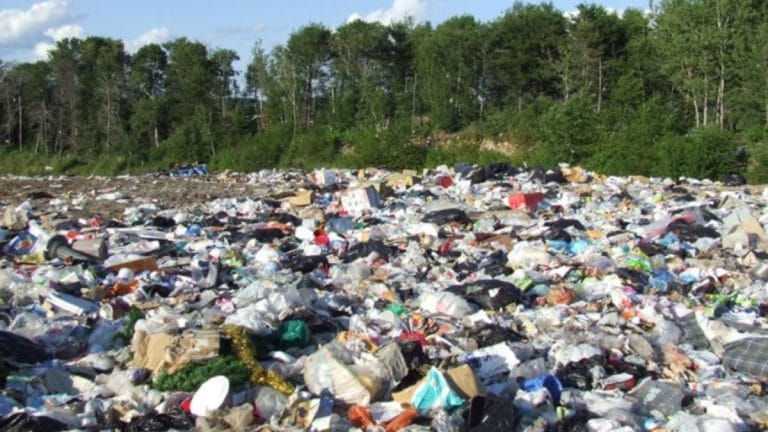 Gurugram sanitation officer sacked for using AI images to ‘resolve’ issues