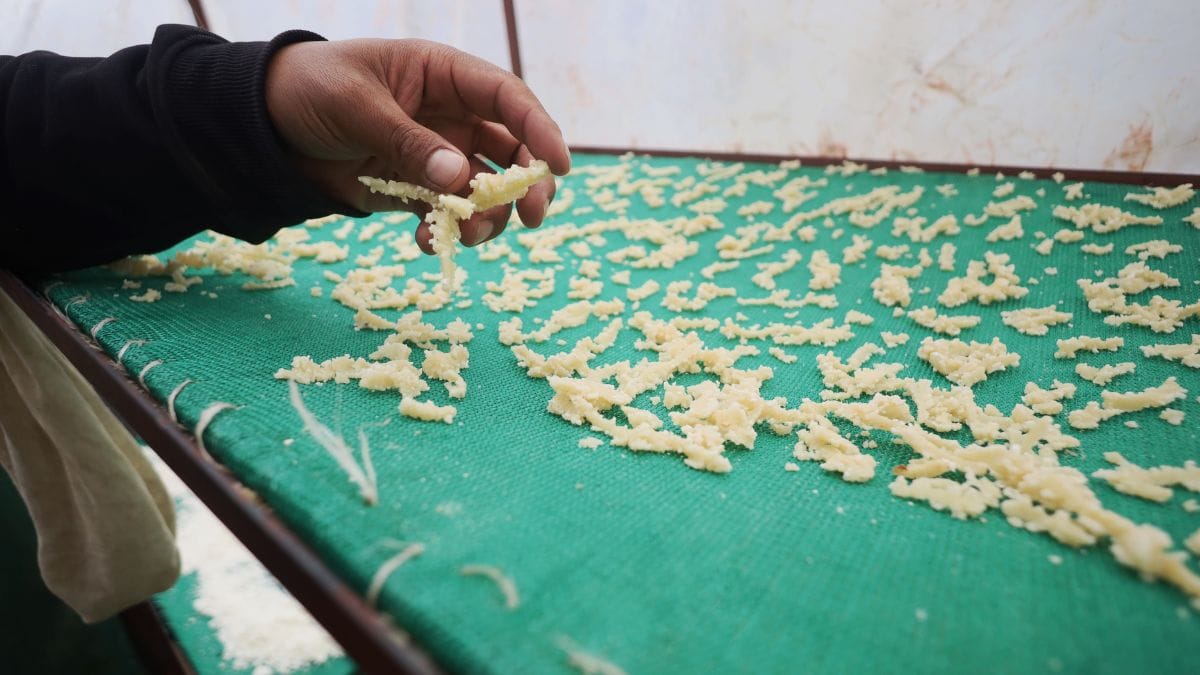 The hard churpi cheese resembles a Parmesan rind—pale yellow, dense and rock-hard | Manisha Mondal, ThePrint