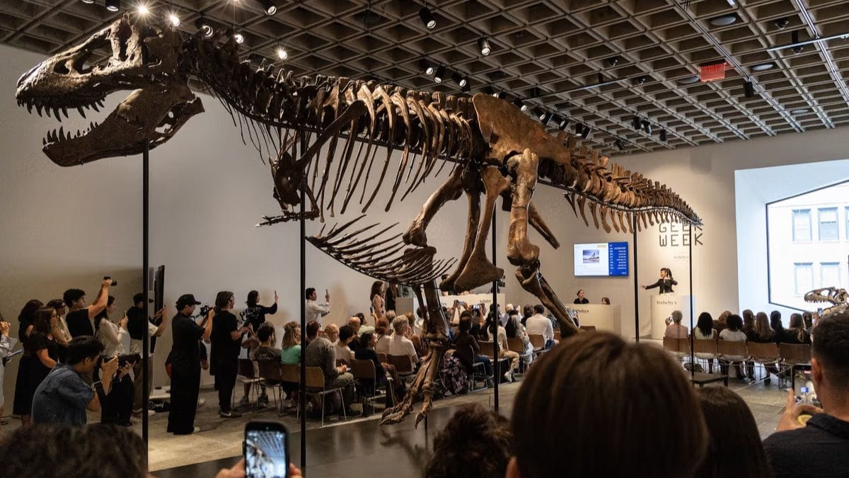Want to buy a dinosaur? T. Rex 'Gus' sold for $50.1 million