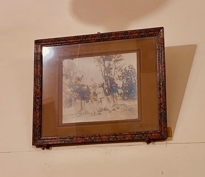 पाली जिले के खेरवा स्थित डेरा खेरवागढ़ महल में बाघ के शिकार की तस्वीरें | फोटो: समन हुसैन/दिप्रिंट