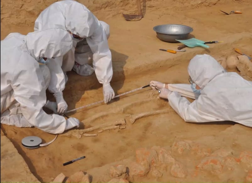 Archaeologist Vasant Shinde's team excavates burials at Rakhigarhi, Haryana, during the 2013-16 excavation. Team members wore PPE to minimise DNA contamination | Photo by special arrangement