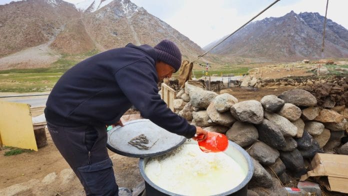 Thenlay Nurboo churns cheese | Manisha Mondal, ThePrint