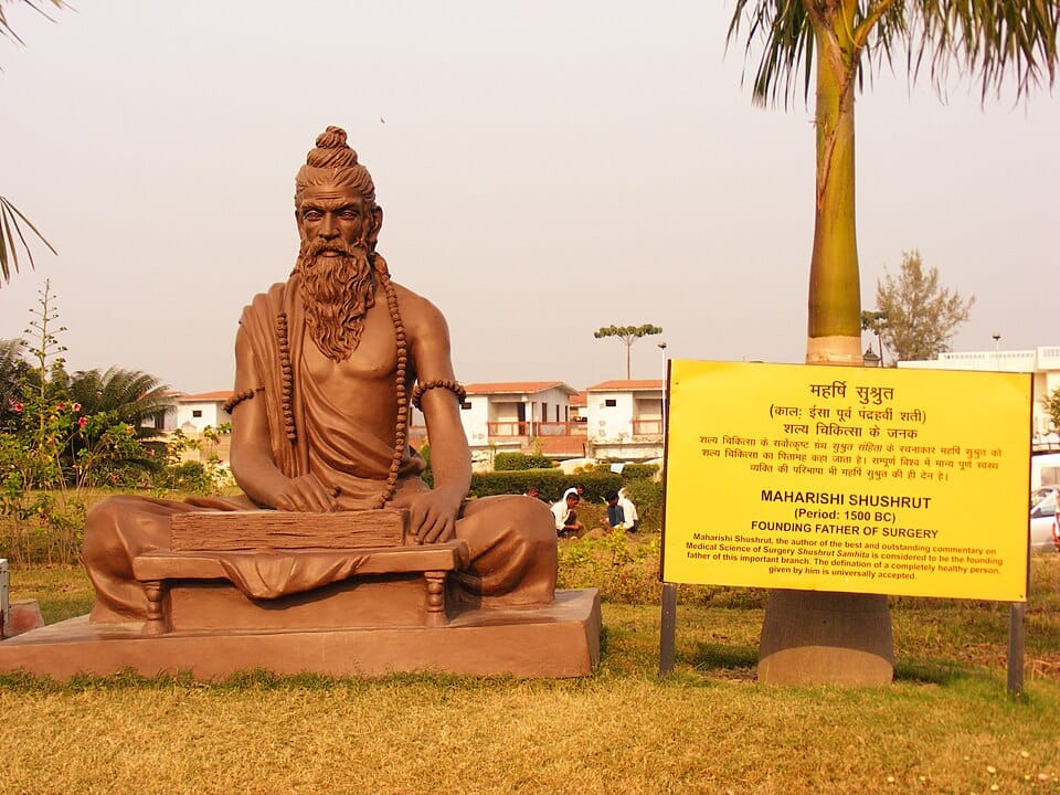 A statue of Acharya Sushruta, popularly recognised as the father of surgery, in Haridwar | Commons