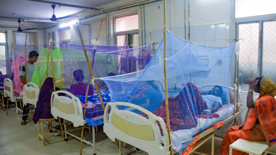 No medicine for dengue yet, Serum Institute's new treatment is headed for global trials