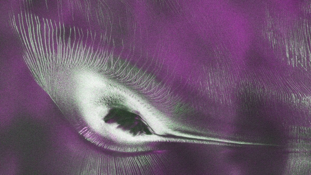 US-India NISAR satellite captures a ‘hummingbird’ in Antarctica. What it reveals