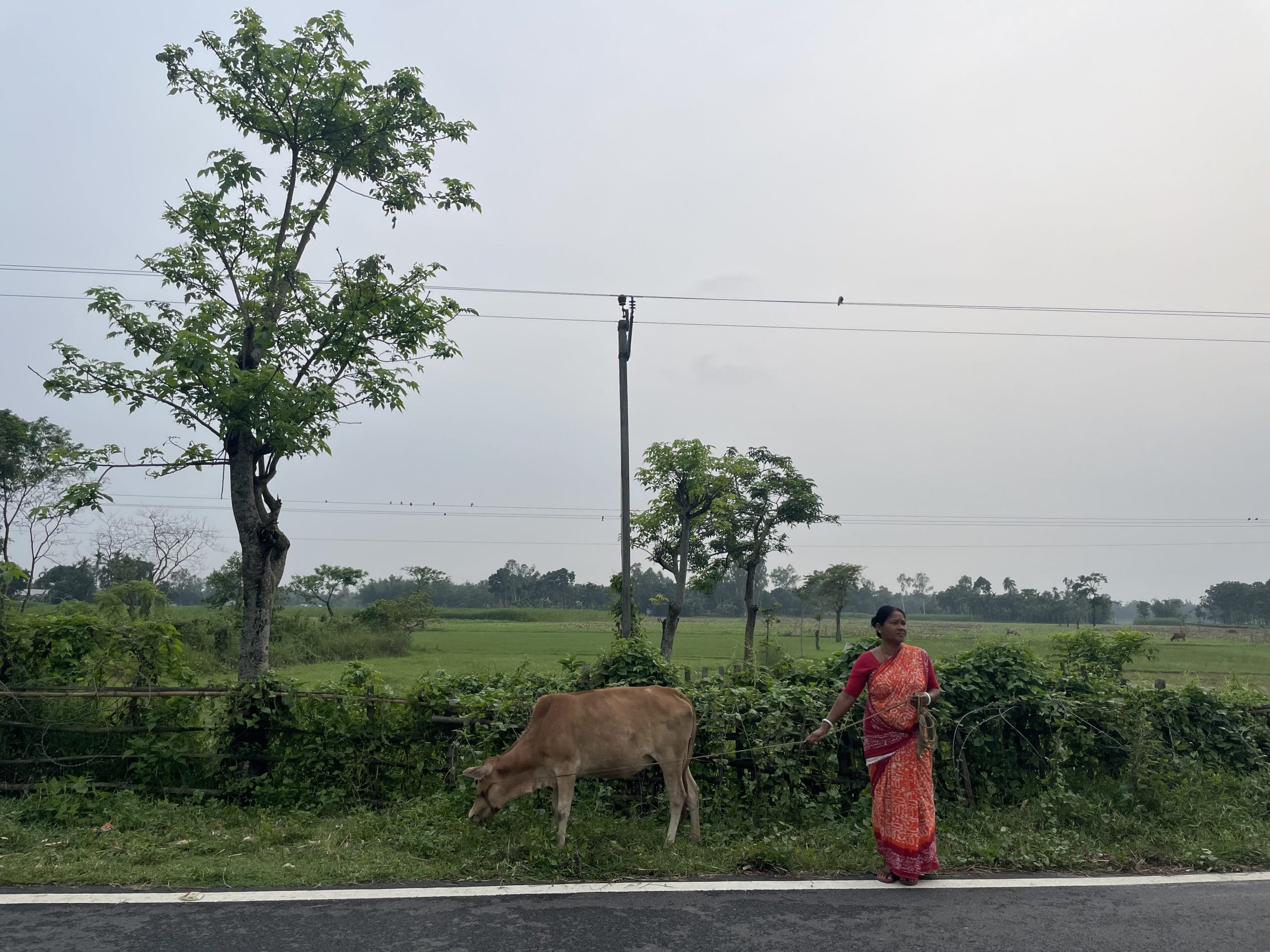 An Indian woman stands near the Dahagram-Angarpota enclave | Alisha Dutta | ThePrint