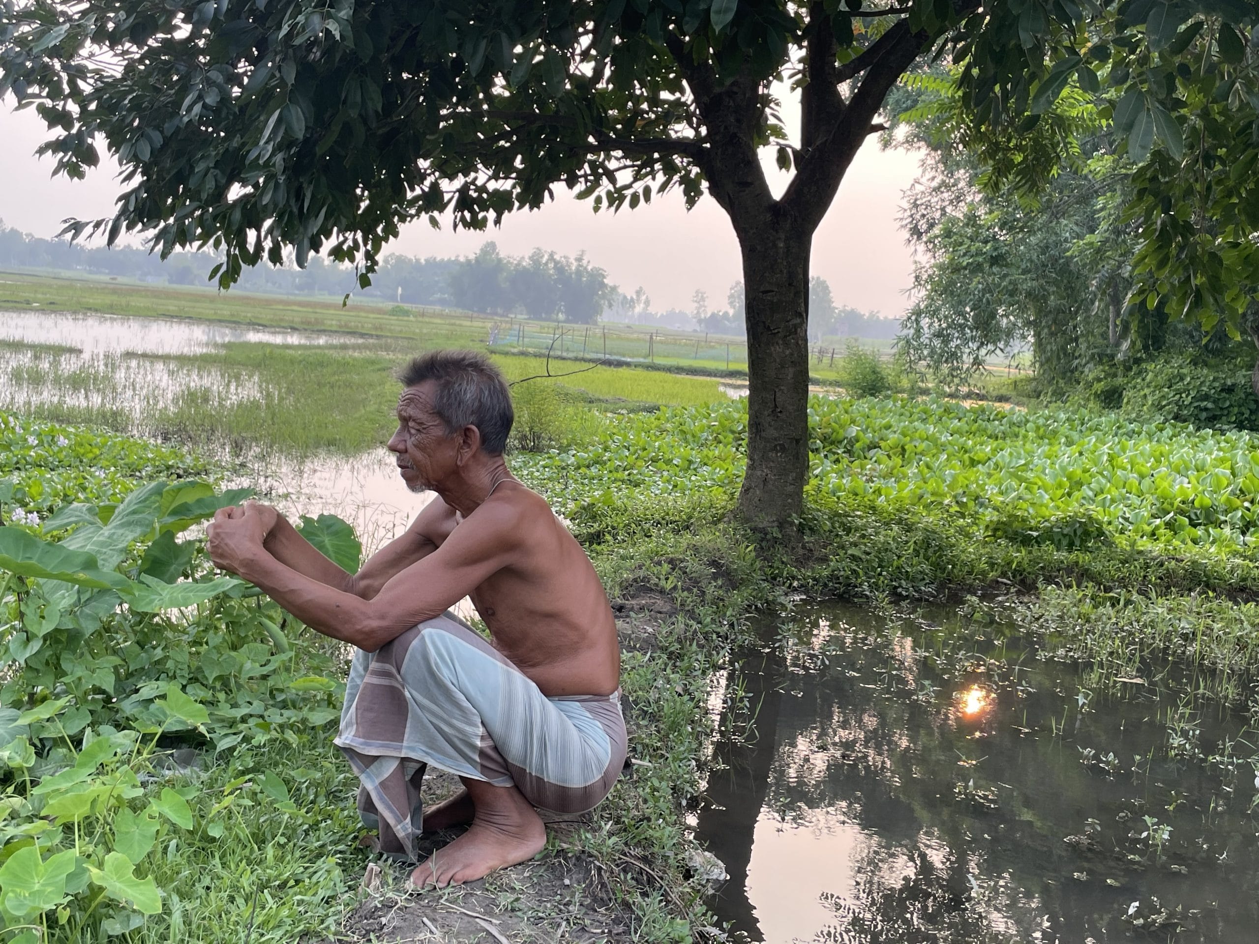 Nityanand Barman in his fields in Fulkadabri village | Alisha Dutta | ThePrint