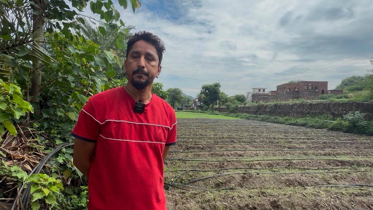 How a handful of farmers made strawberries a wonder in Rajasthan