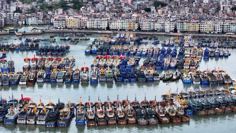 SubscriberWrites: China’s Overcapacity, the Coming Legitimacy Squeeze & Why India’s Subsea Cables Need a Pacific Detour