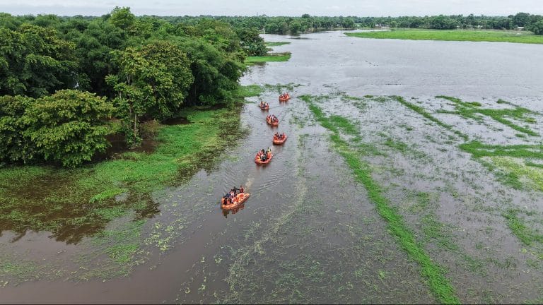 Assam floods: death toll rises to 98